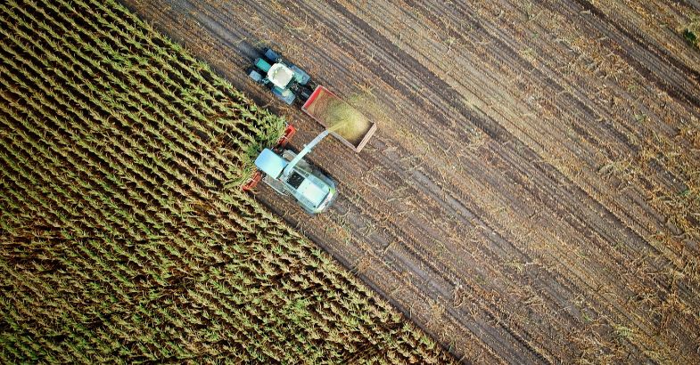 Öko-Landbau: Bodentypen und Tipps