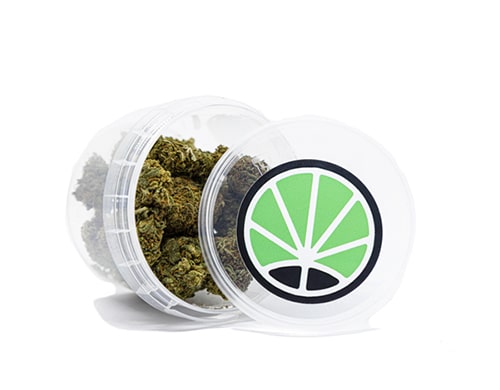 orange bud cannabis orange bud cbd cannabis bluten