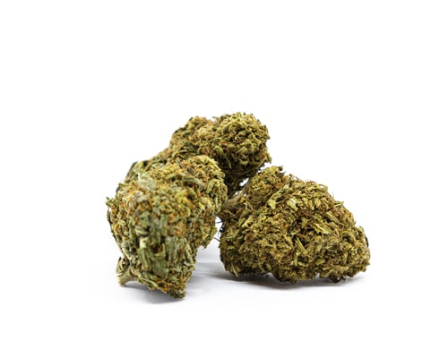 orange-bud-cbd orange bud cbd bluten cannabis
