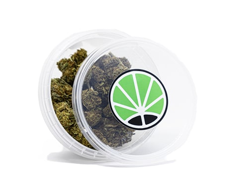 orange bud cbd orange bud cbd cannabis pflanzen
