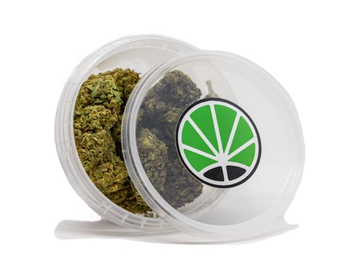 cbd-bluten-bubblegum cbd blute bubblegum