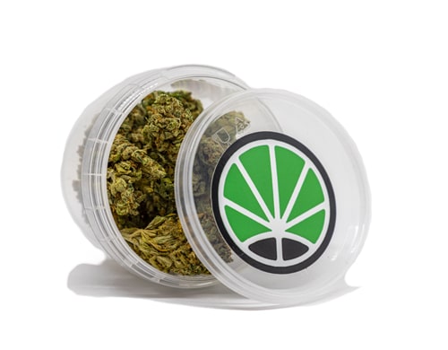 bubblegum-legale-cannabis-cbd-bluten bubblegum cbd bluten cannabis pflanzen
