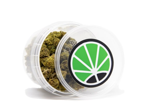 bubblegum-weed-marihuana bubblegum weed deutschland