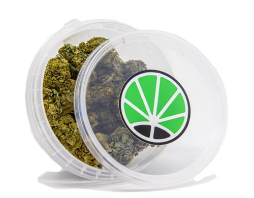 cannabis-lemon-cheese-cbd cannabis lemon cheese
