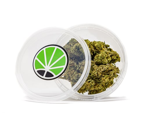 gorilla-glue-cbd-cannabis-samen gorilla glue cannabis samen
