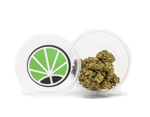 gorilla-glue-marijuana-cbd gorilla glue cbd marijuana