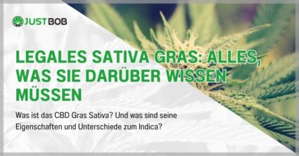 Legales Sativa Gras: Alles, was Sie darüber wissen müssen