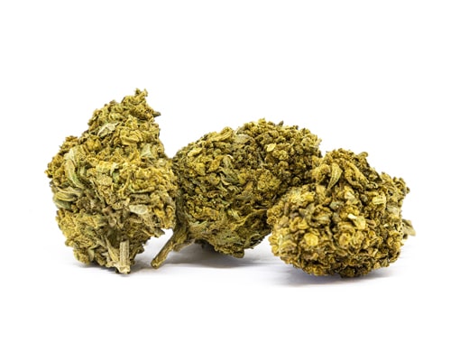 lemon-cheese-haze-super-lemon lemon cheese haze
