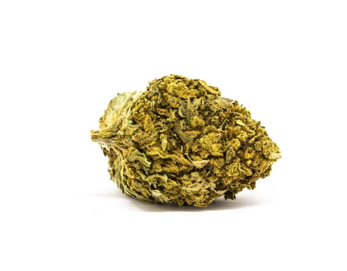 lemon-cheese-marihuana Lemon Cheese Cannabis Marihuana