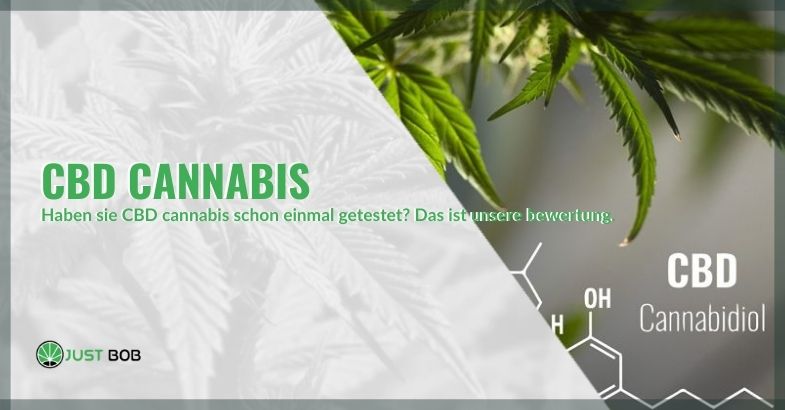 Wenn Sie noch nie CBD-Cannabis konsumiert haben, lesen Sie unsere Rezension