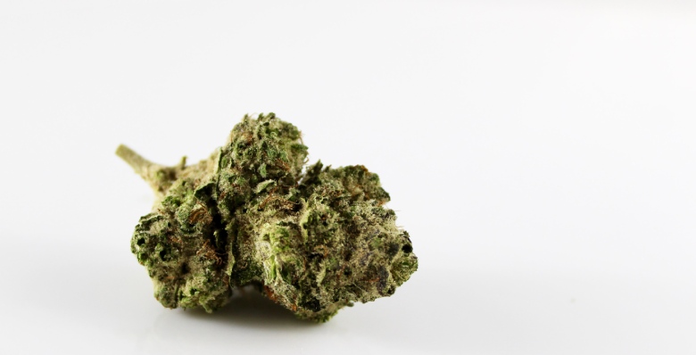 Die Hauptgerüche von CBD Cannabis.