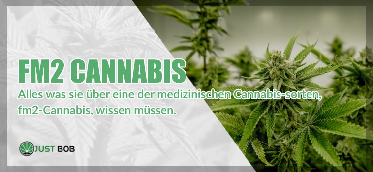 FM2 Cannabis und cbd marijuana