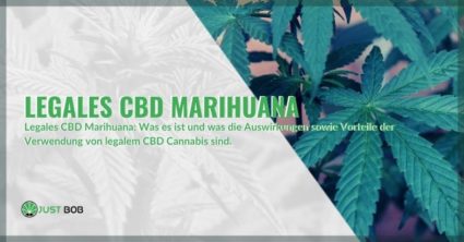 Legal CBD Marihuana