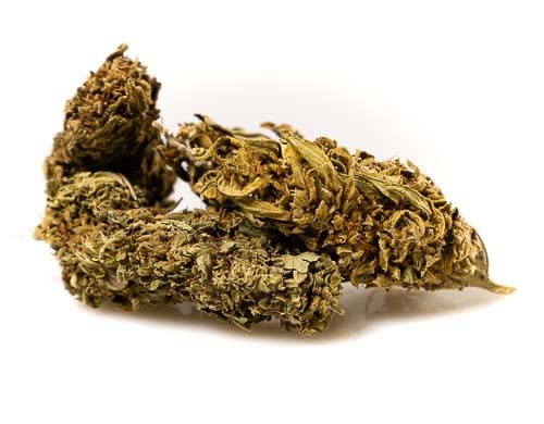 Outdoor Buds Mix Cannabis