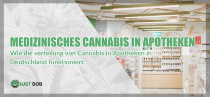 Medizinisches Cannabis und legalem gras