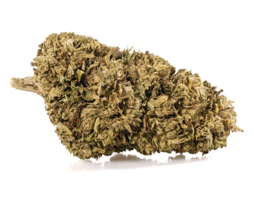 Cbd Gras Outdoor Mix