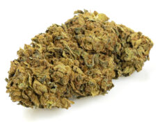 Outdoor Mix cbd gras