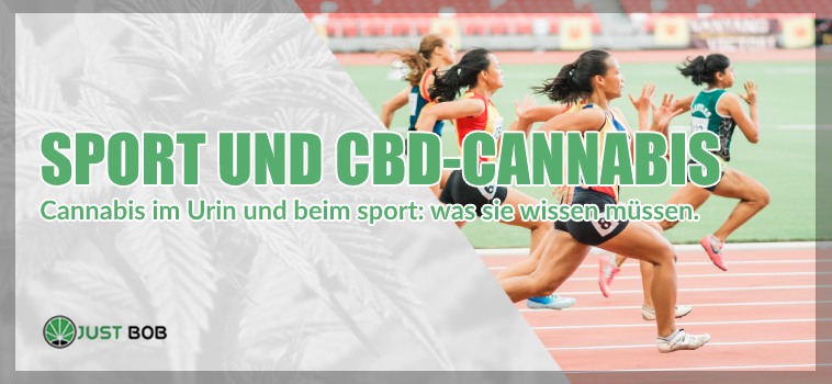 Sport und CBD Cannabis