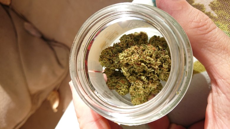 Was ist CBD Cannabis