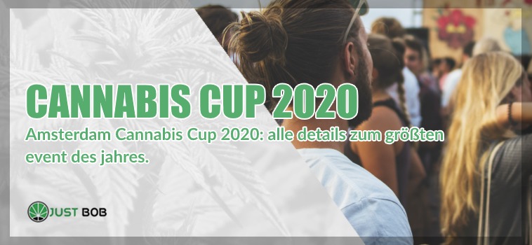 cannabis cbd in amsterdam