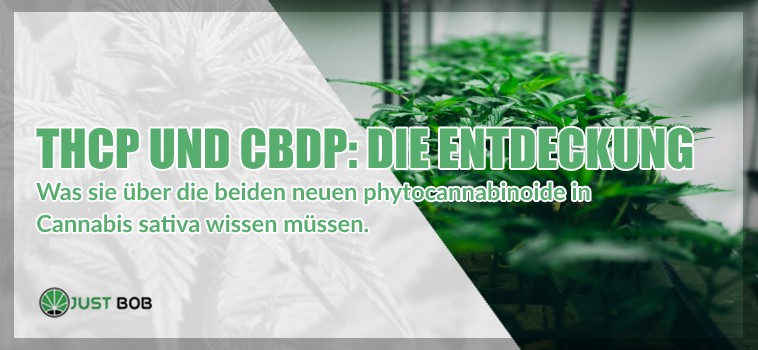 legalen cannabis THCP und CBDP