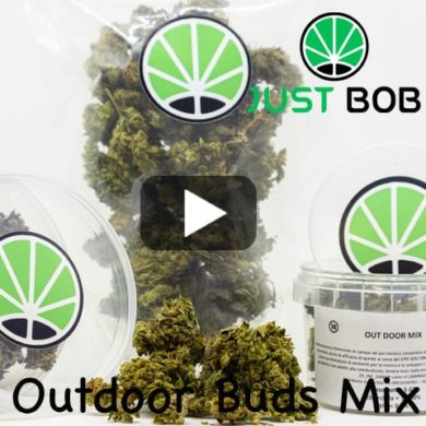 outdoor-buds-mix