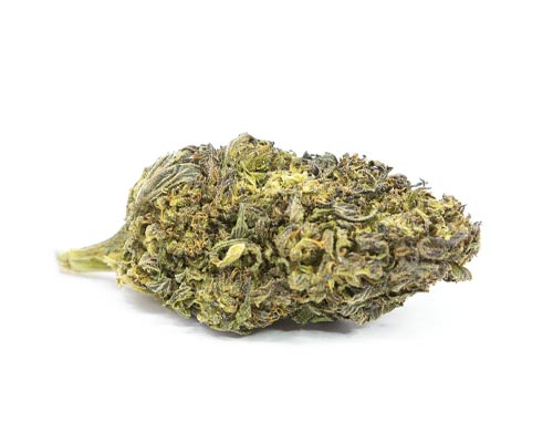 Purple Haze CBD blüten