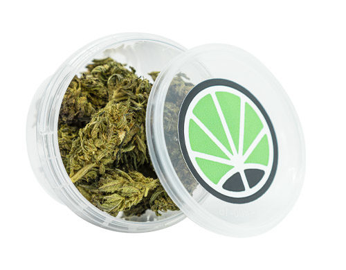 Purple Haze CBD Gras