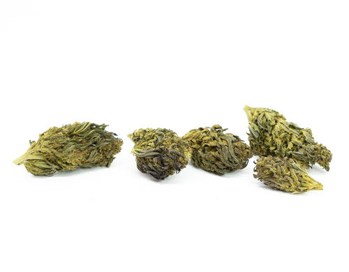 Purple Haze Legalen Cannabis