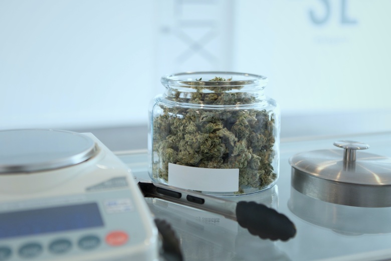 versiegelte Gläser mit Cannabis cbd
