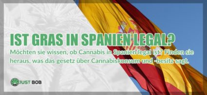 Spanien legal marihuana