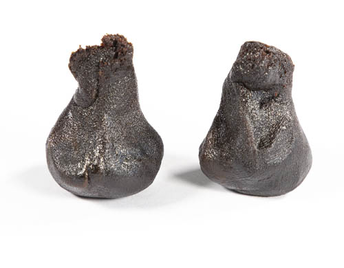 girl-scout-cookies-haschisch legald-geformt 2 Stücke von haschisch legal geformt Girl Scout Cookies