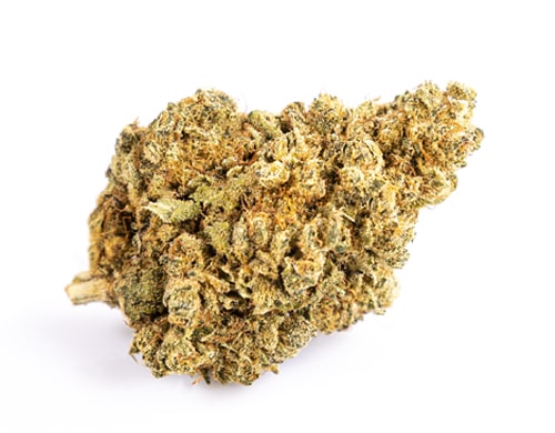purple-GG#4-legaler-Blüte-cbd-25% Blüten von legalem Hanf Purple GG#4 mit cbd 25%