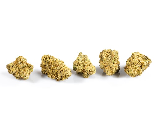 purple-GG#4-legaler-Blüte-glas Glas mit legalem Hanf Purple GG#4 mit 25% cbd