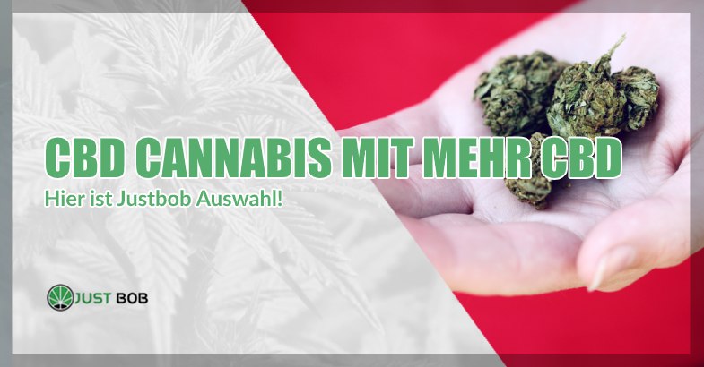 CBD Cannabis mit mehr CBD