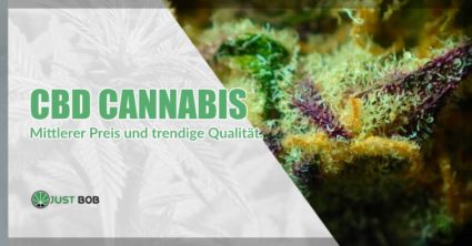 CBD-Cannabis mittlerer Preis