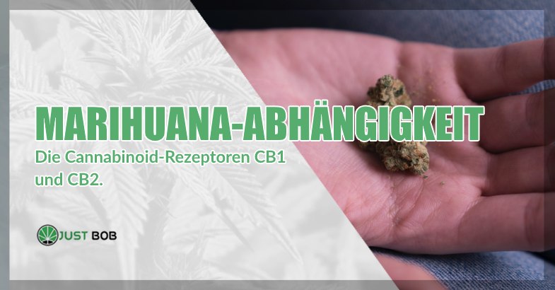 Marihuana Abhängigkeit und cba gras