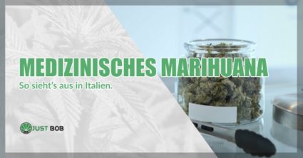 Medizinisches Marihuana und cbd gras