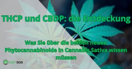 THCP und CBDP: die Entdeckung