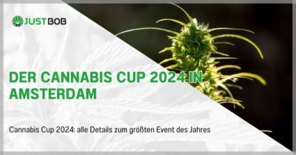 Der Cannabis Cup in Amsterdam