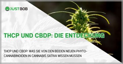 THCP und CBDP: die Entdeckung