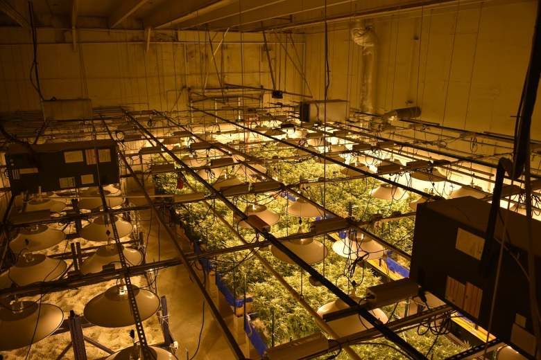 CBD bluten für den technischen Gebrauch