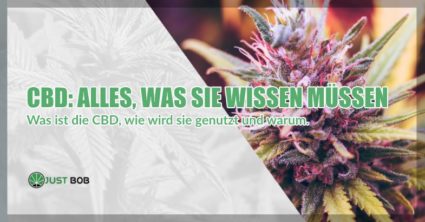 CBD was Sie wissen müssen