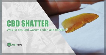 CBD Shatter warum reden alle darüber