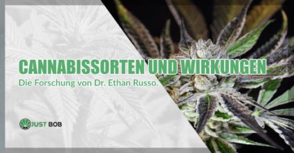 Cannabissorten und Wirkungen