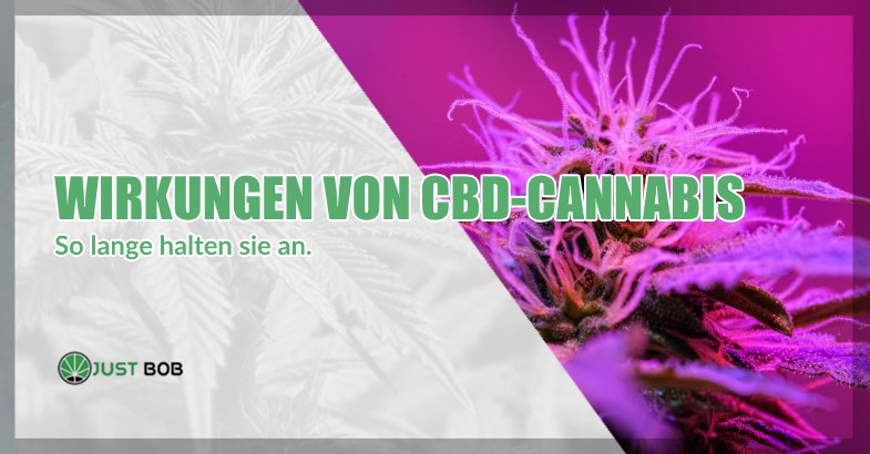 Wirkungen von CBD Cannabis