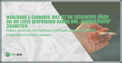 Marlboro und Cannabis: