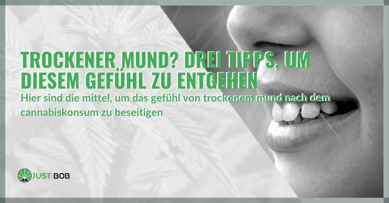 Trockener Mund? Drei Tipps, um diesem Gefühl zu entgehen