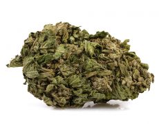 cbg gras der sorte zkittles