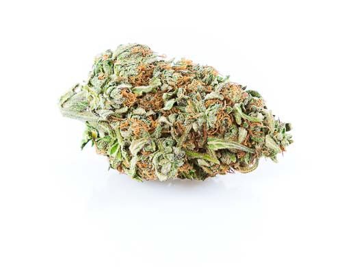 CBG Blüten der Sorte Zkittles